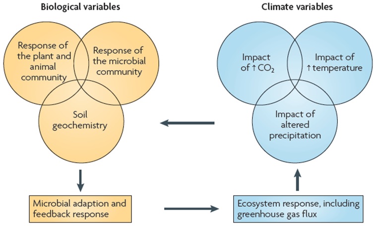 Variables que afectan a las respuestas ecosistémicas